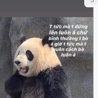 phong