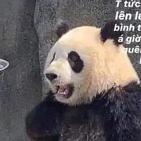 huyền anh a