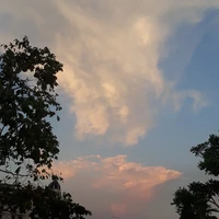 T/g ẹc ọt