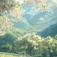 @clb _sangg_taoo_nek