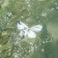 All-trừ ai thì trừ