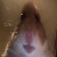 T/G