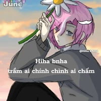 hiha bnha