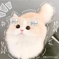 cherry(pet của hina)