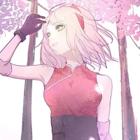 Haruno Sakura [Naruto]