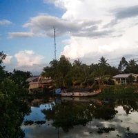 t/g bị cỏn