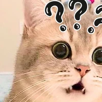 nhân vật bí ẩn khác 