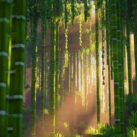 @HoiHocSinh_nee.