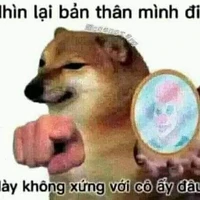 tác giả báo