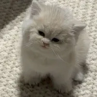 ♡T/g♡