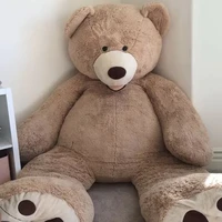 Hệ thống_Gấu Bông