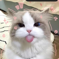 tgia bựa nho s1 làng Novel