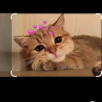 all(trừ ai thì trừ)