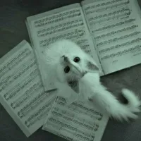 Pun