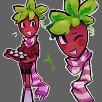 Sprout -dâu-