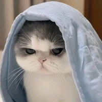 Tác giả bé mèo~