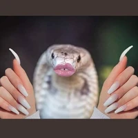 mấy con 🐍(trừ những đứa ko tính)