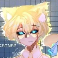 anti catnap