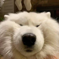 namson.do