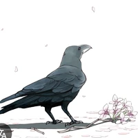 Tất cả các con quạ (all)