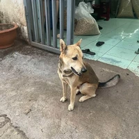 đa nhân vật nữ