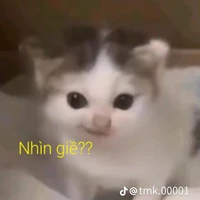 T/g mắc ỉa ^^ [Gái nha]