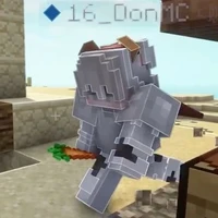 don