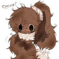 🍪_cocoa_🍪
