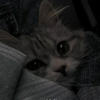 𝕋𝕨𝕠𝕥𝕚𝕞𝕖