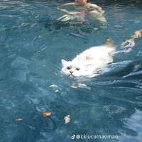 ℕ𝕠𝕠𝕓