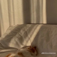 𝕊𝕙𝕖𝕕𝕝𝕖𝕥𝕤𝕜𝕪