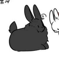 space(Chủ tao là con nợ🤑)