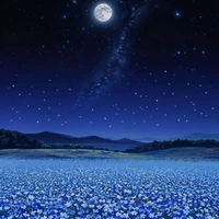 nv bí ẩn ( đoán xem người ấy là ai )