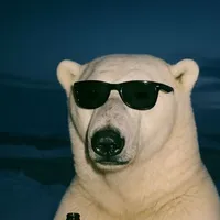 Tác giả