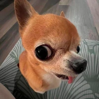 vợ iu của 5 anh quần tụt (tgiả)