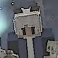 Anh Quai (chiều ông của Ozin)