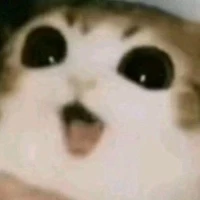 nv nào đó ai cx đc