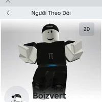 boizvert[the top]
