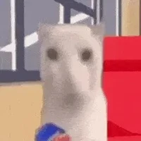 các Đ/G