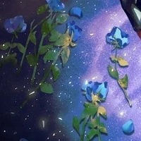 [Hệ thống]_25||12_