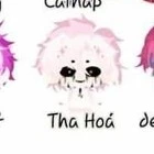 hiha tha hoá
