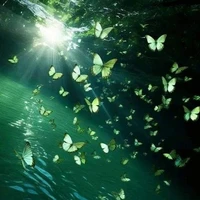 tất cả ( trừ những người cần trừ)