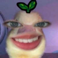 Tg đêiiiiii