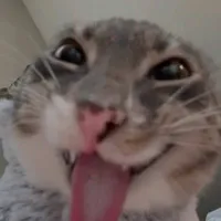 TG siêu siêu lười , nhạt