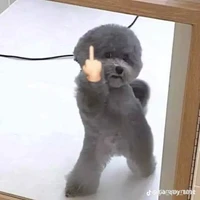 tác giả bị khờ