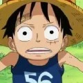 Monkey. D.Luffy