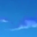 thành viên quân cách mạng