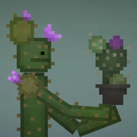 Cactus