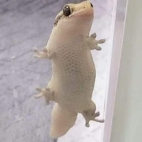 T/g sai đẹp triêu