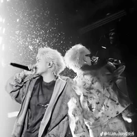 lại là anni bay tới đây